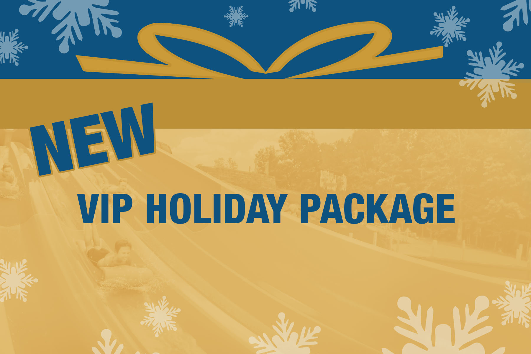 Logo for the New VIP Holiday Package.